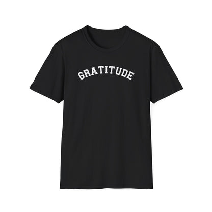 Gratitude T-Shirt, Unisex Softstyle Tee, Positive Energy Shirt, Mindfulness Gift, Casual Wear, Everyday Statement Top