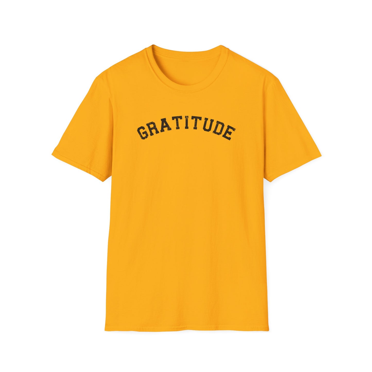 Gratitude T-Shirt, Unisex Softstyle Tee, Positive Energy Shirt, Mindfulness Gift, Casual Wear, Everyday Statement Top