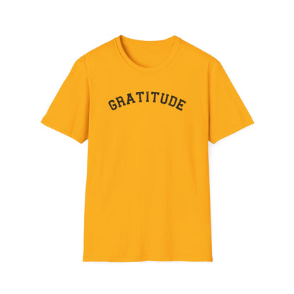 Gratitude T-Shirt, Unisex Softstyle Tee, Positive Energy Shirt, Mindfulness Gift, Casual Wear, Everyday Statement Top